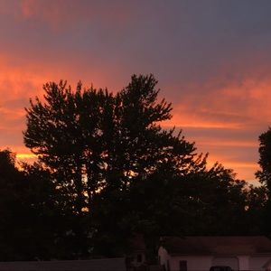 Meet your Posher, Taylynn